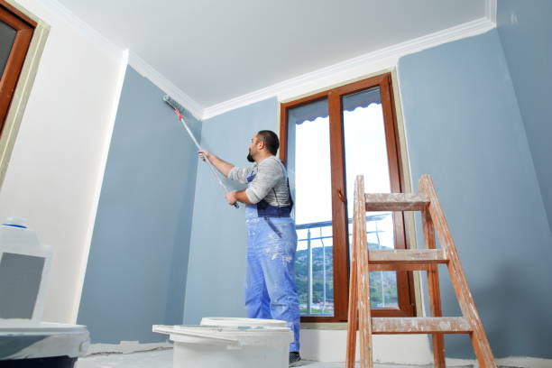 Best Black Mold Removal  in Maytown, PA