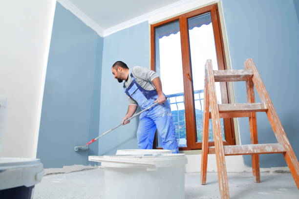 Best Basement Mold Removal  in Maytown, PA