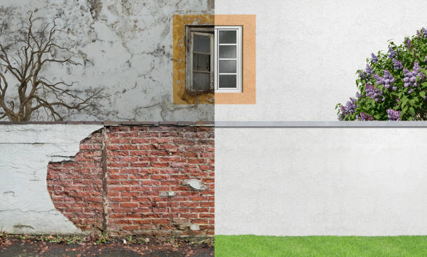 Best Mold Remediation for Healthcare Facilities  in Maytown, PA